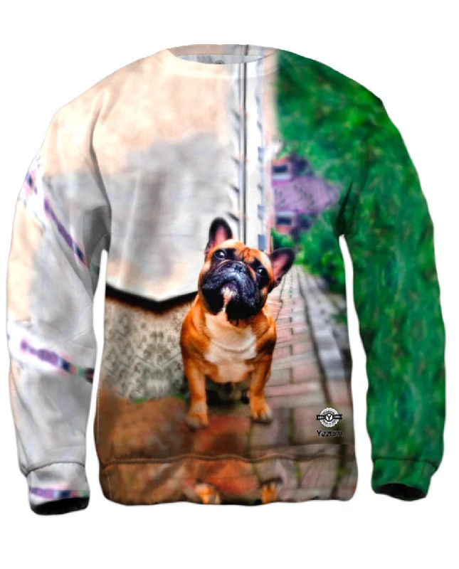 Elevated Outerwear Whats That French Bulldog